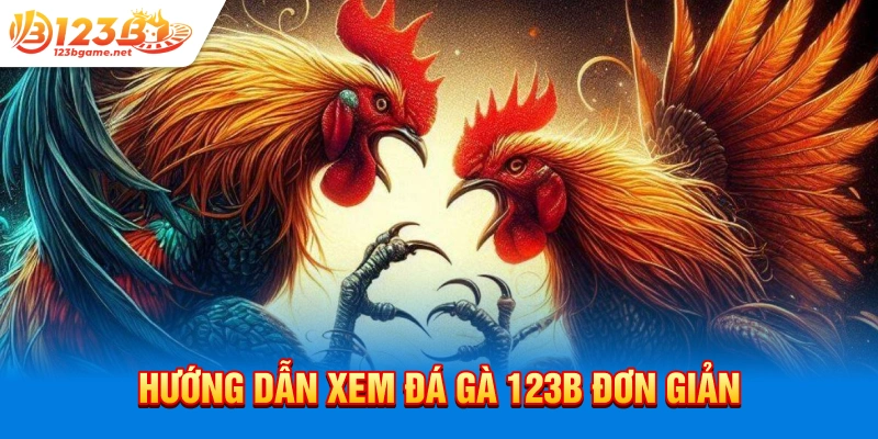 Hướng dẫn xem đá gà 123b đơn giản