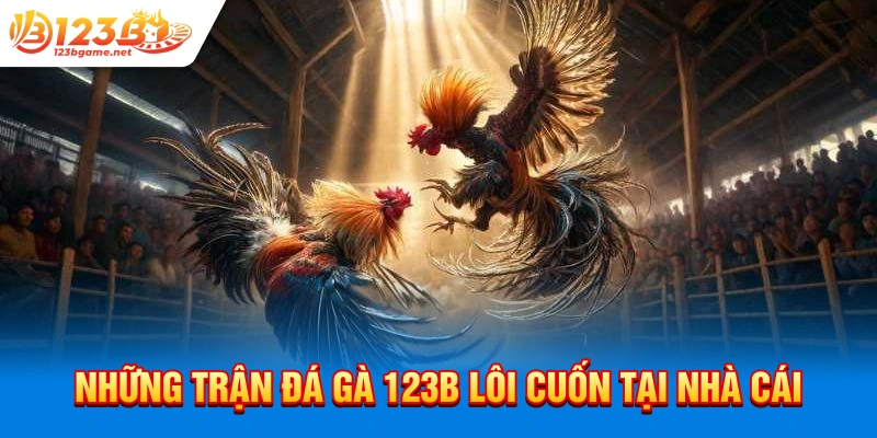 Những trận đá gà 123b lôi cuốn tại nhà cái