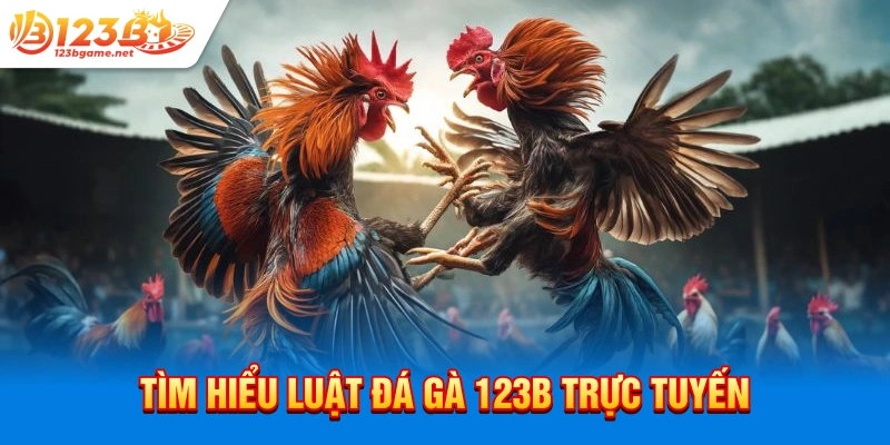 Tìm hiểu luật đá gà 123b trực tuyến