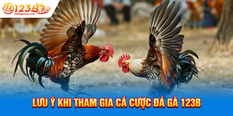 Lưu ý khi tham gia cá cược đá gà 123b