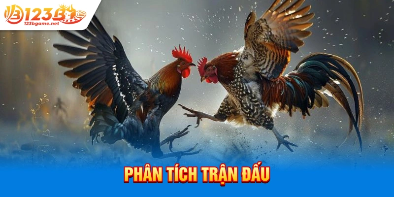 Phân tích trận đấu