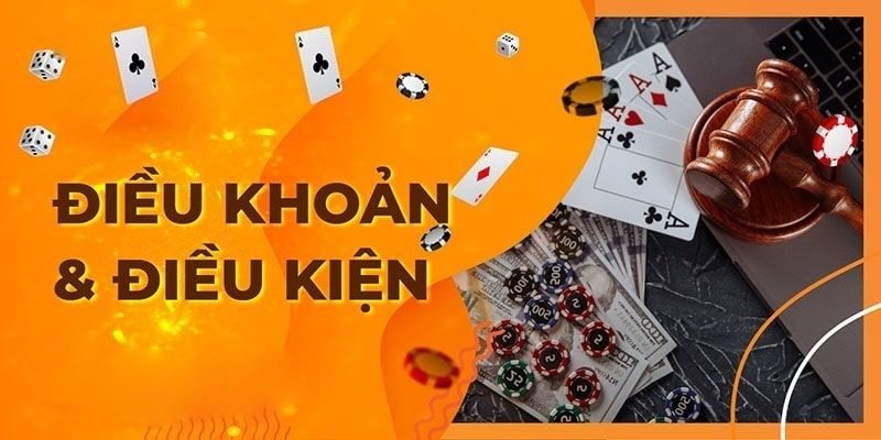 Điều khoản điều kiện cung cấp chính sách đặc biệt về ưu đãi